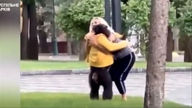 קוף במעיל צהוב, אוקראינה 