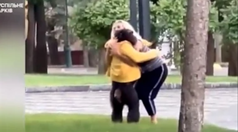 השימפנזה שברחה מגן החיות קיבלה מעיל צהוב והסכימה לחזור