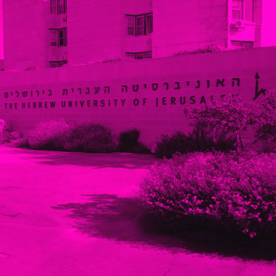ספרות תציל ממוות