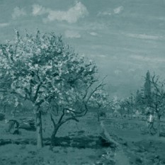 אש זרה ריבוע 1 310326