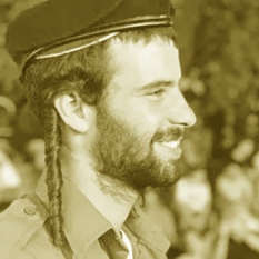 פדיה 500