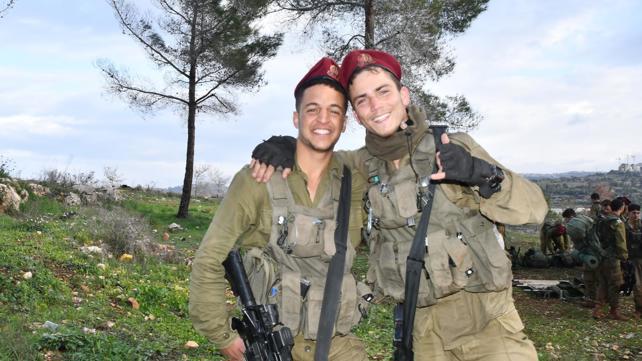 אלישע שמוליאן 