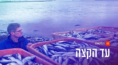 איסלנד