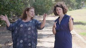 דנה פרנק פסטיבל כרמיאל 