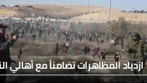 النقب احتجاجات 
