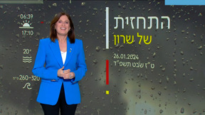 התחזית