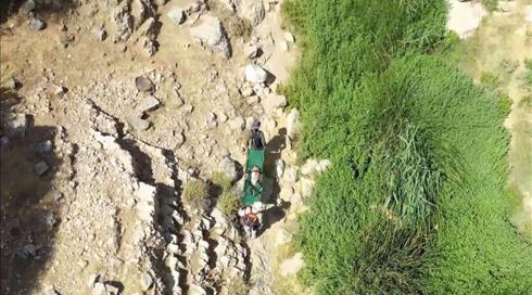 מבצע במבי: המטיילים שחילצו צבי פצוע בלב מדבר - והצילו את חייו