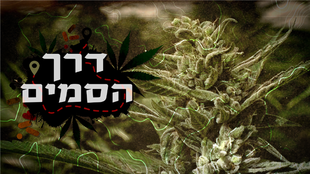 דרך הסמים 1200/630