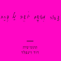 כריכת הספר 'דבור מגושם יושב על פרח'