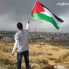Paly flag