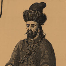 cat11463_img276335008.jpg