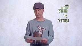 סליחה על השאלה