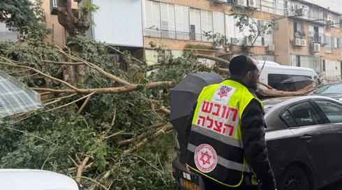 עצים קרסו בבני ברק ואשקלון; חסימות בכביש 90 בשל הצפות