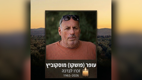 עופר "פושקו" מוסקוביץ