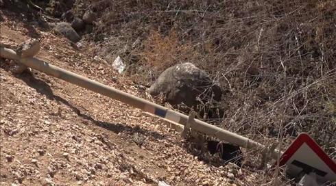שביל ישראל מתקצר: אחרוני המטיילים במקטע שנסגר