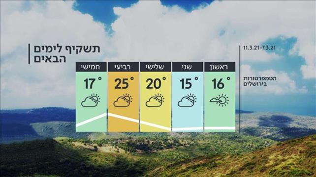 תחזית