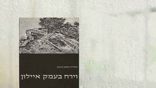 מערכת כאן