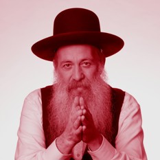 שולי רנד