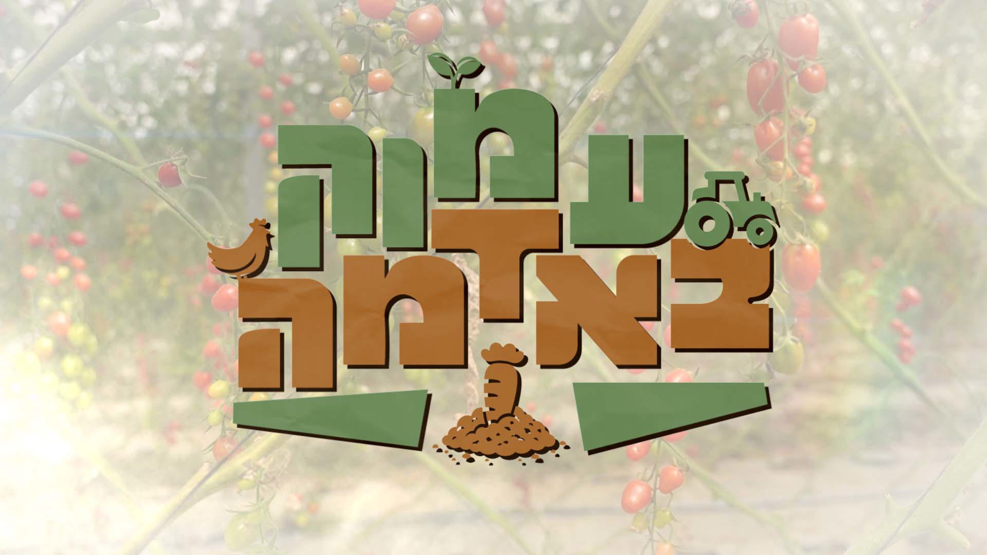 עמוק באדמה