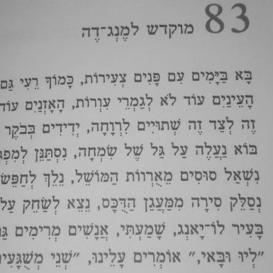 כמוך רעי גם אני
