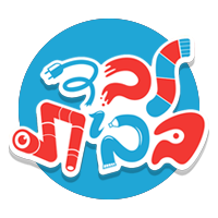 לבד בבית 5