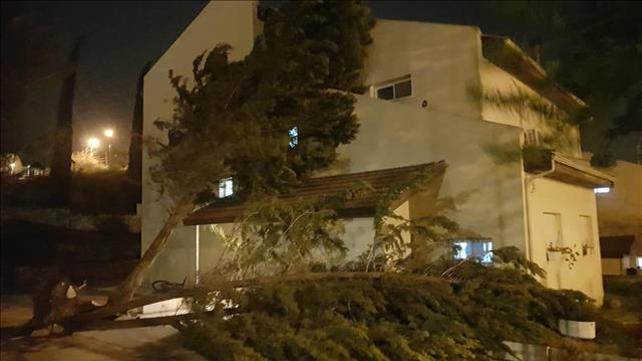 עצים רבים קרסו בישוב נוה צוף שבבנימין. נזק נגרם למספר בתים ומכוניות, 12.03.20