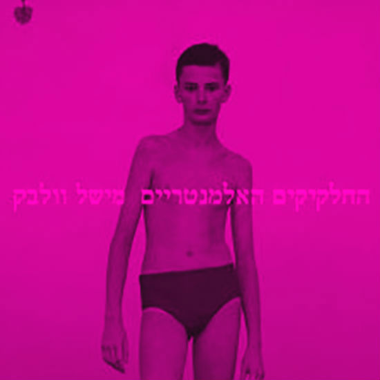 תולדות הכיעור