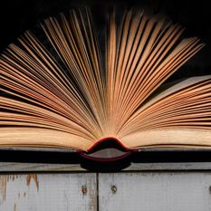 Los conversos: entre historia y literatura