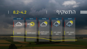 תחזית