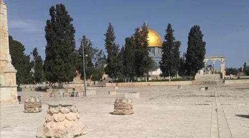 בכיר בווקף: רחבת הר הבית תיפתח למתפללים בשבוע הבא