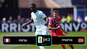 תקציר