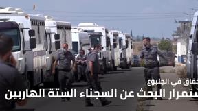 النشرة المسائية 7.9