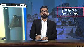 פעם בשבוע עם תם אהרון | עונה 3 - פרק 20