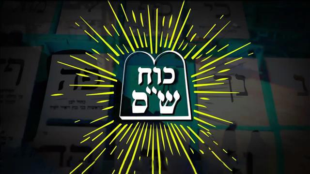 כוח שס