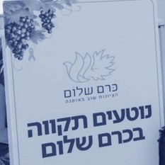 כרם שלום קטן