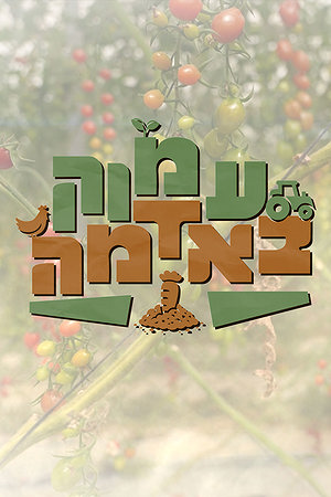 עמוק באדמה
