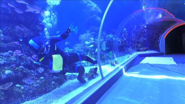"התחושה היא ששכחו אותנו": אטרקציות התיירות נשארות סגורות