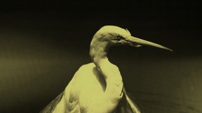 Faith No More - Angel Dust