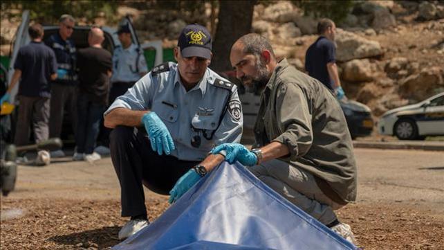 הסדרה הנערים