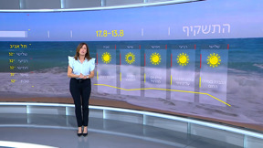 התחזית 12.08.24
