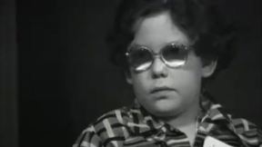 עלי כותרת | אגודת הילדים