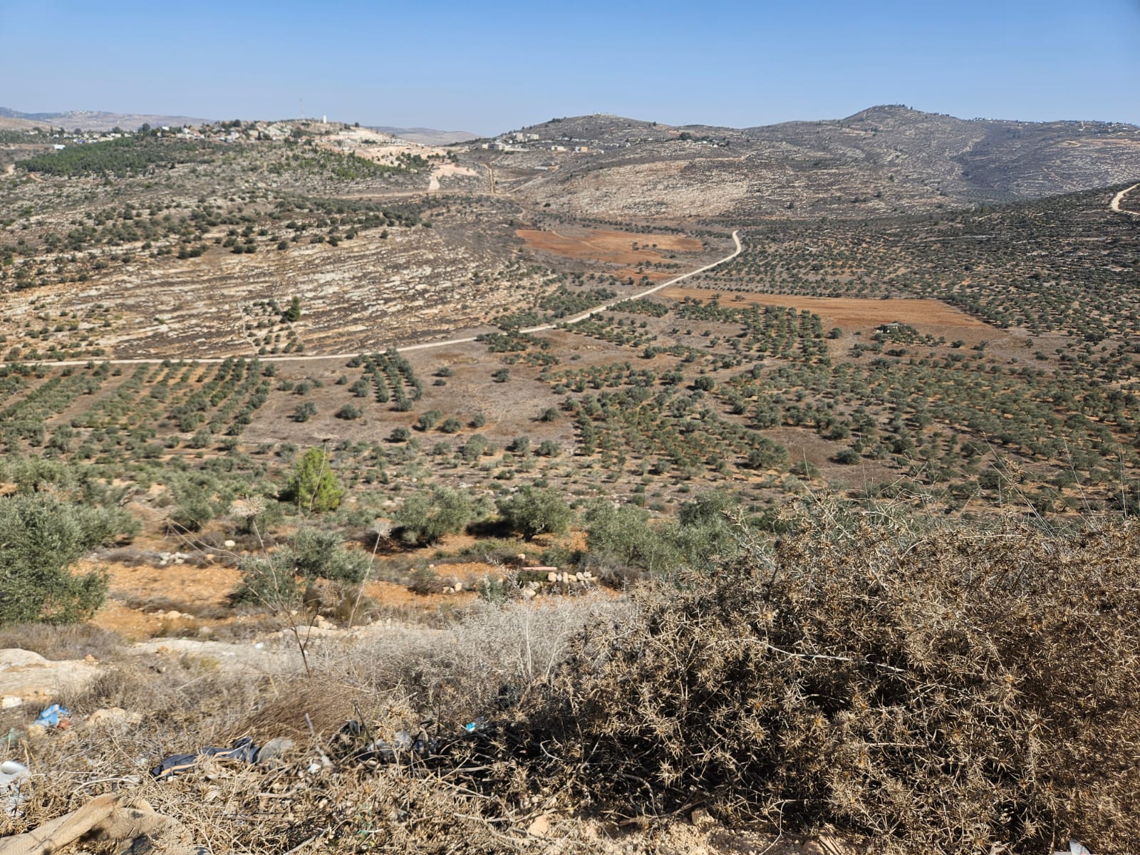 אזור הכפר עוורתא שליד שכם 