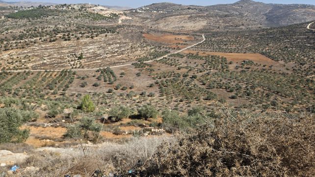 אזור הכפר עוורתא שליד שכם 