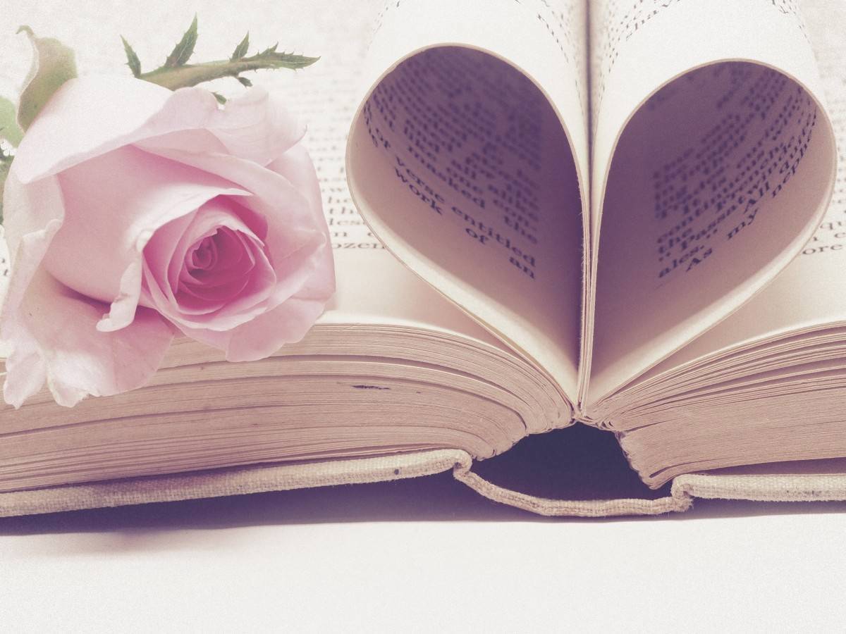 Cartas de amor en medio de la guerra