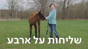 שליחות על ארבע