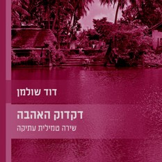 כריכת הספר דקדוק האהבה