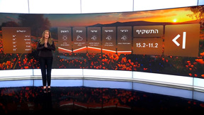 התחזית 10.02.26