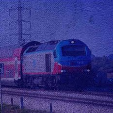 cat25884_img748477589.jpg