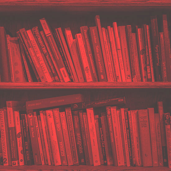 Café Literario: Las experiencias de un inmigrante, Boris Zaidman