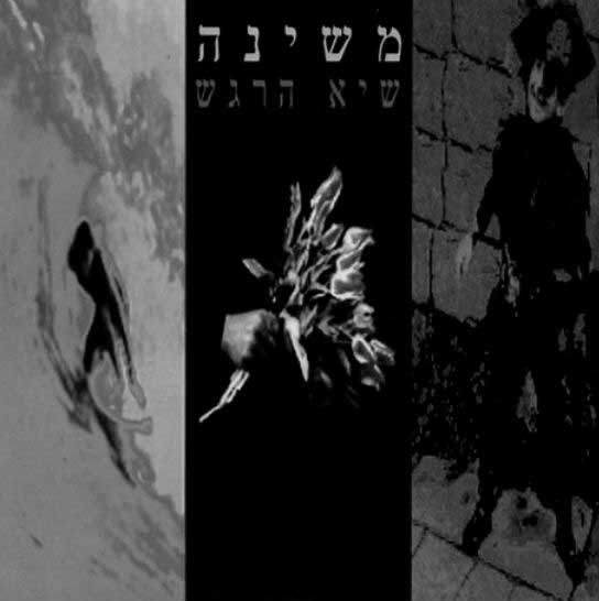 פוקוס - שנת 1993